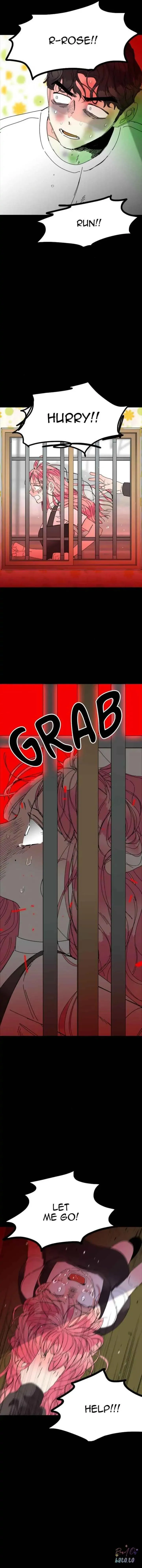 No Rose Without Thorns Chapter 36 Online - página 4