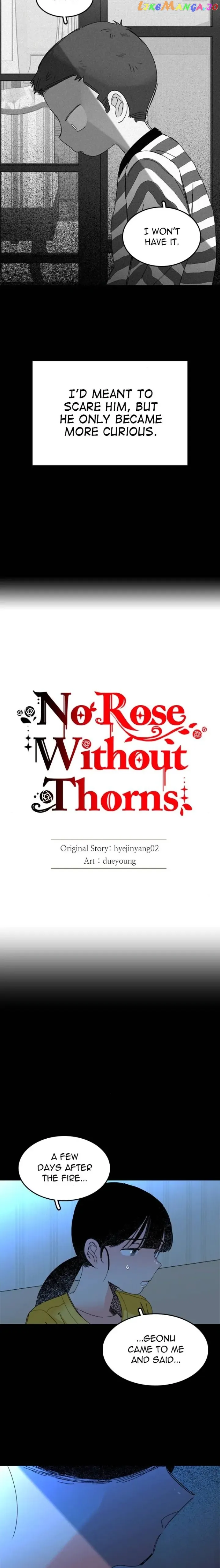 No Rose Without Thorns Chapter 81 Online - página 7