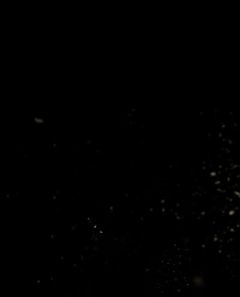 Not Even Bones Chapter 3 Online - página 1