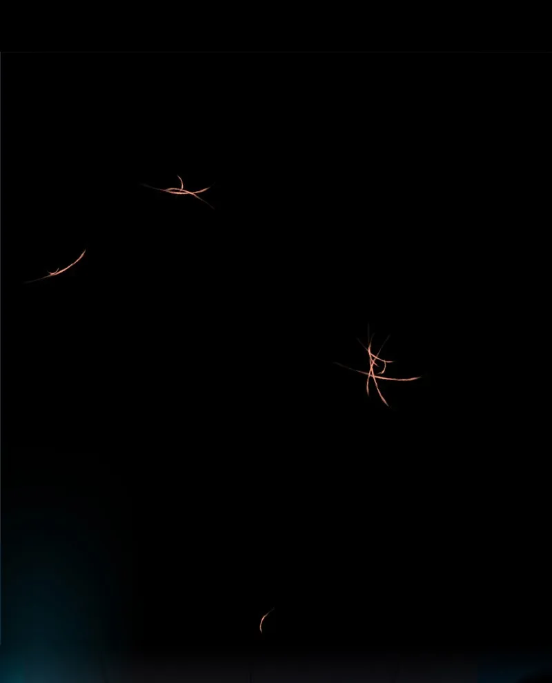 Not Even Bones Chapter 3 Online - página 45