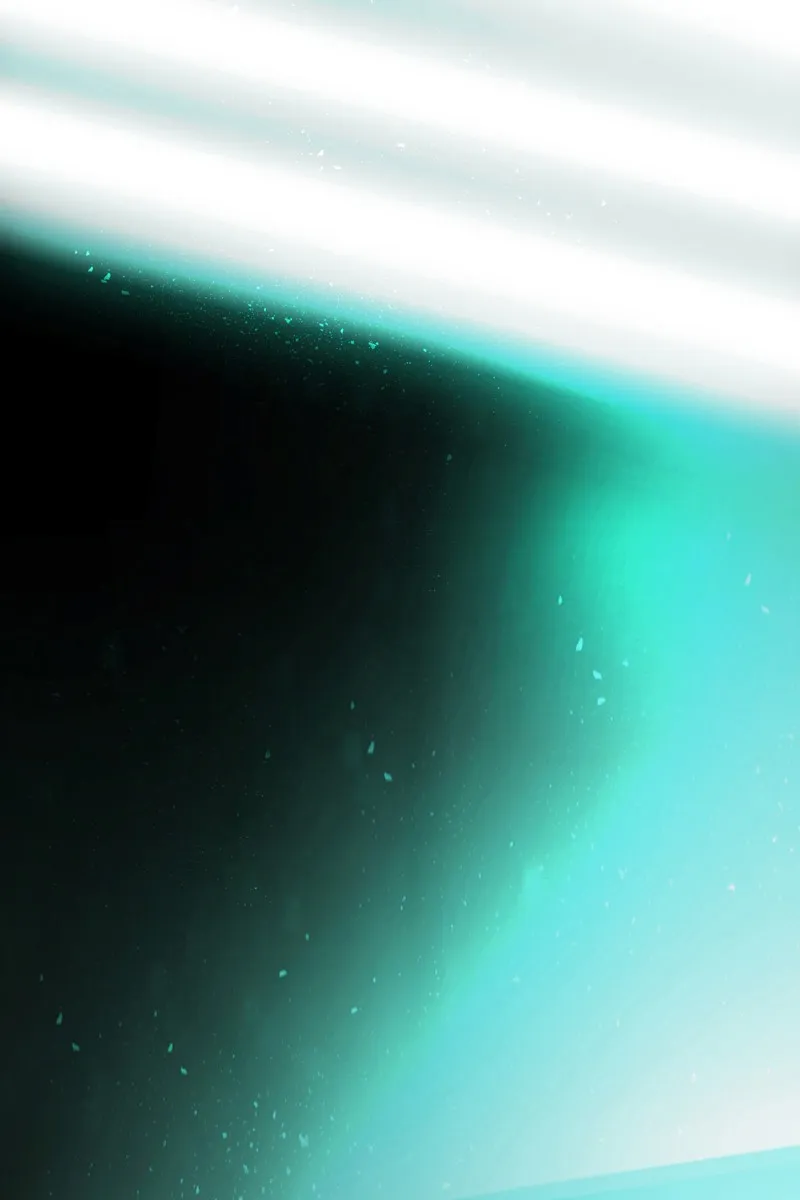 Not Even Bones Chapter 9 Online - página 2