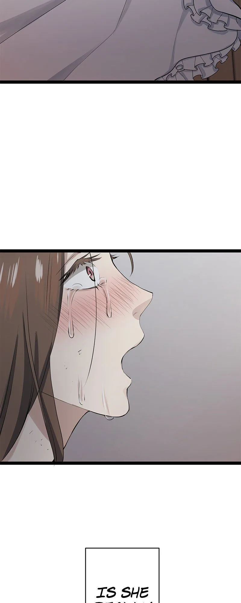 Nulliitas: The Half-Blood Royalty Chapter 16 Online - página 36