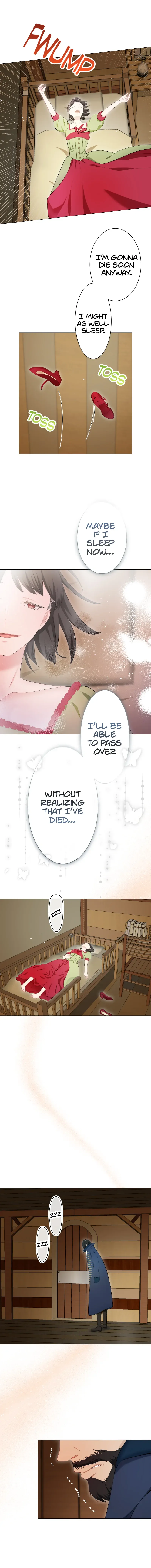 Nulliitas: The Half-Blood Royalty Chapter 166 Online - página 7
