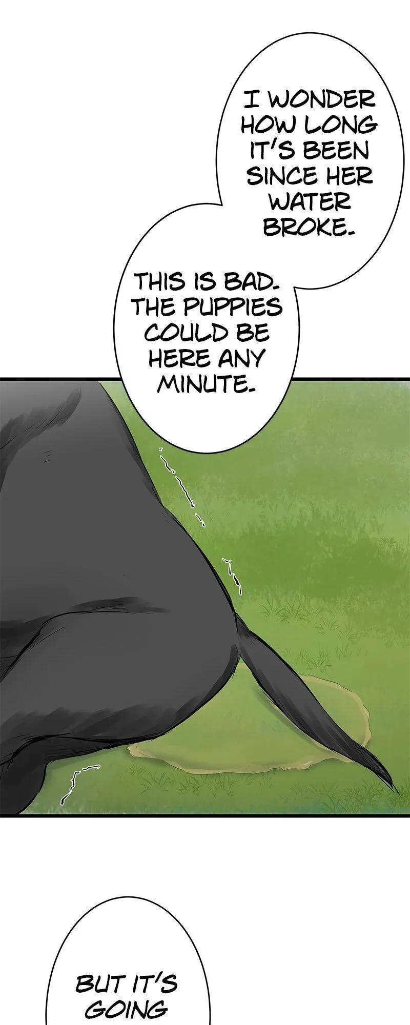 Nulliitas: The Half-Blood Royalty Chapter 28 Online - página 16