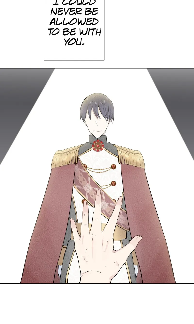 Nulliitas: The Half-Blood Royalty Chapter 78 Online - página 14