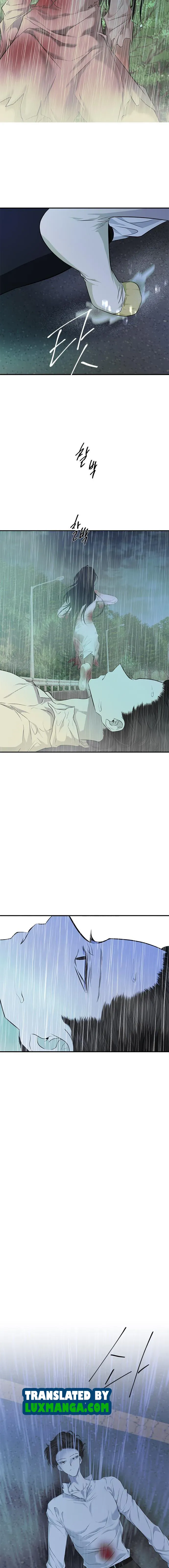 Olgami Chapter 146.5 Online - página 8