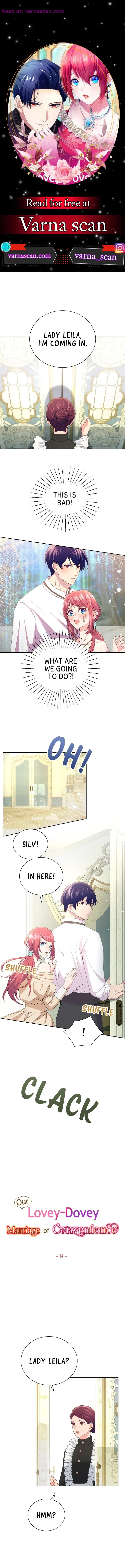 Our Lovey-Dovey Marriage of Convenience Chapter 14 Online - página 1