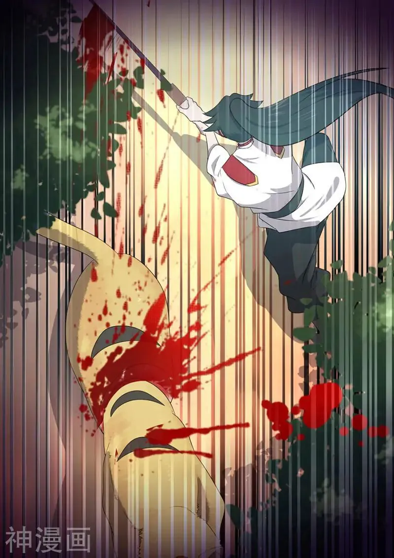 Peerless Battle Spirit Chapter 15 Online - página 9