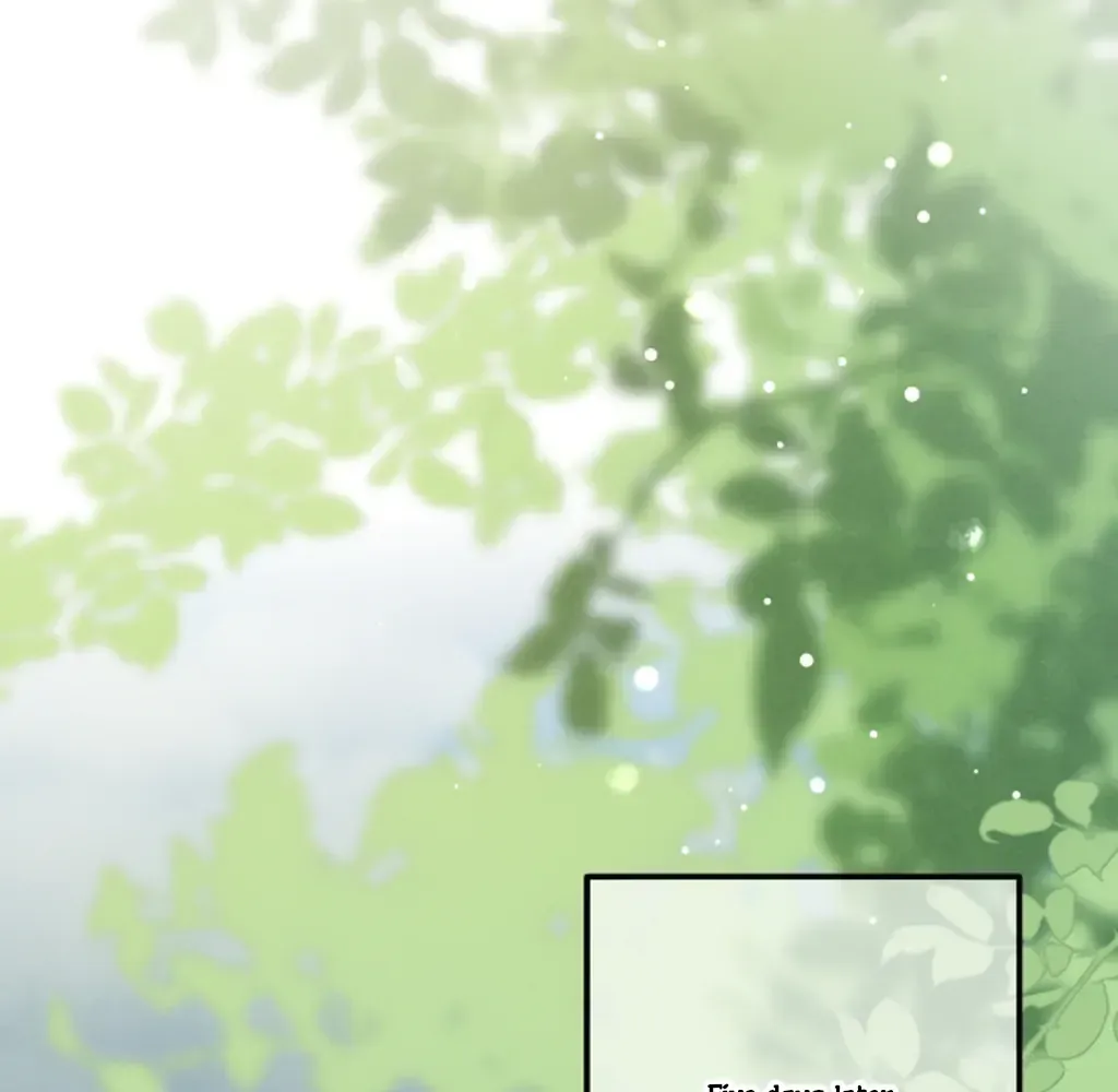 Peerless Beauty Chapter 75 Online - pƔgina 47