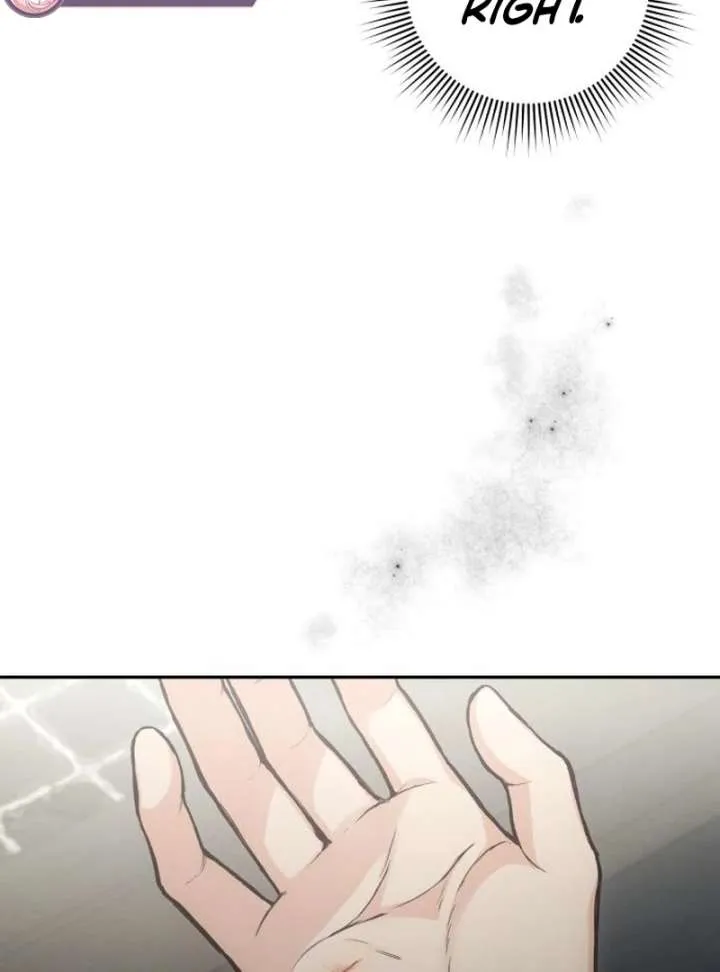 Perfection is Everything Chapter 16 Online - página 110