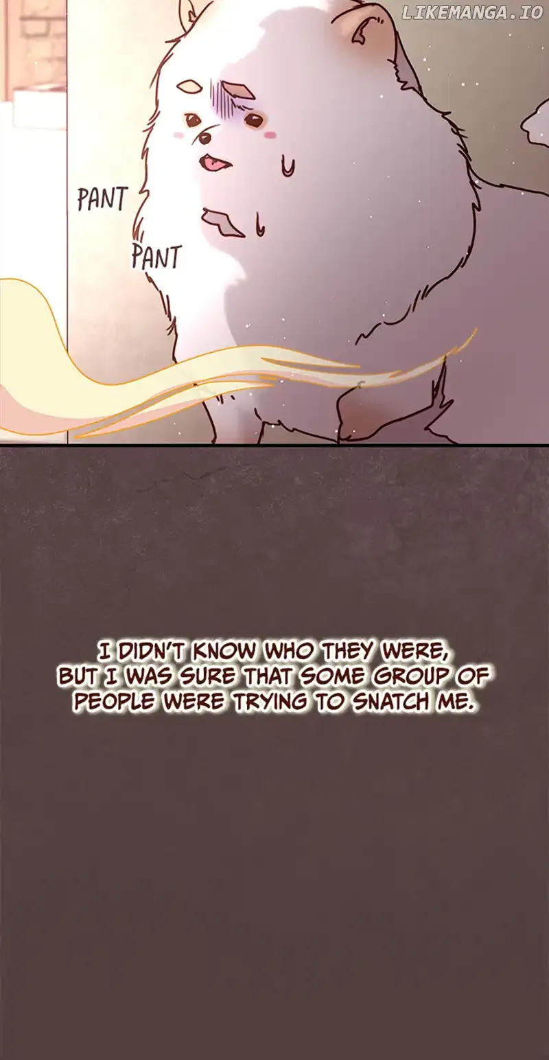 Please, Forget About Vivian Chapter 38 Online - página 14