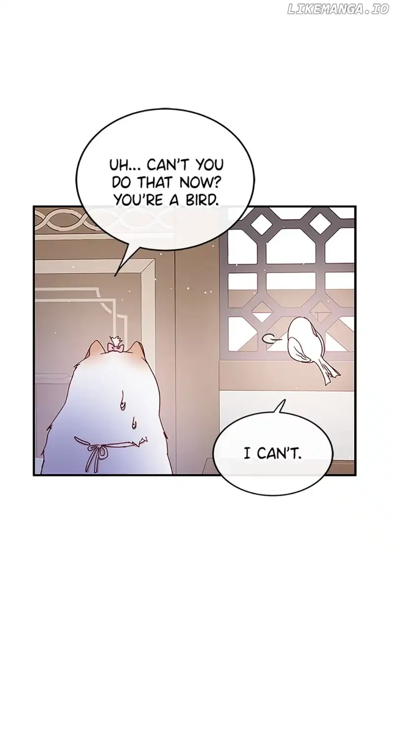 Please, Forget About Vivian Chapter 38 Online - página 65