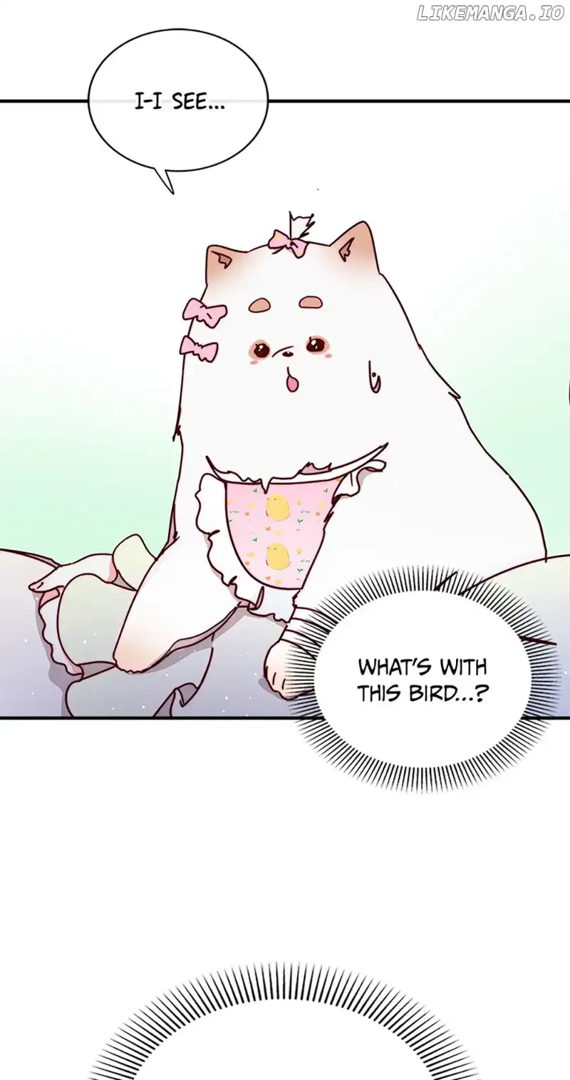 Please, Forget About Vivian Chapter 38 Online - página 66