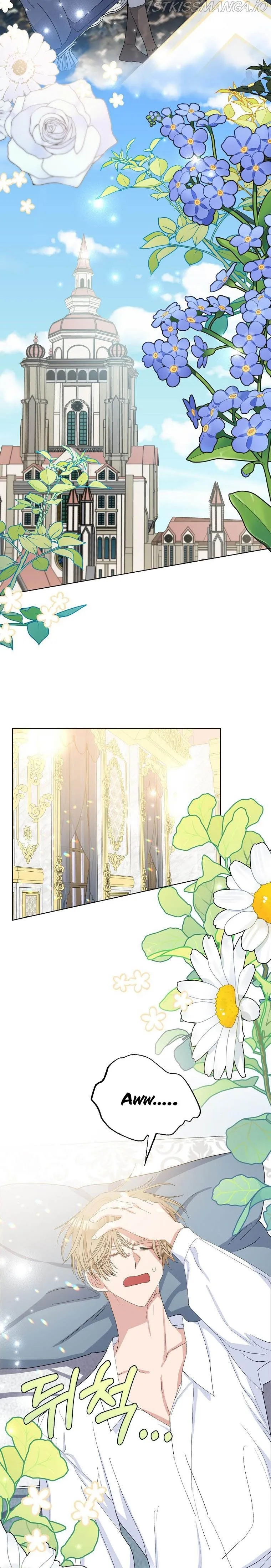 Please Marry Me Again, Husband! Chapter 30 Online - página 5