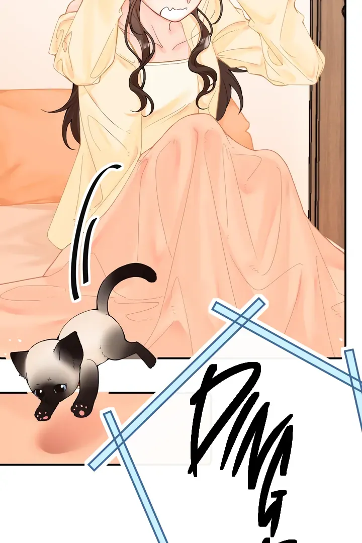 Please Take Care Chapter 8 Online - página 47