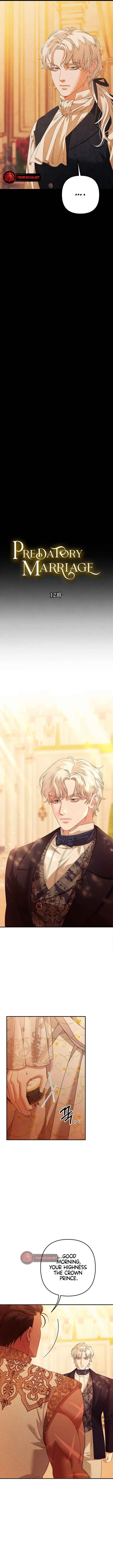 Predatory Marriage Chapter 12 Online - página 8