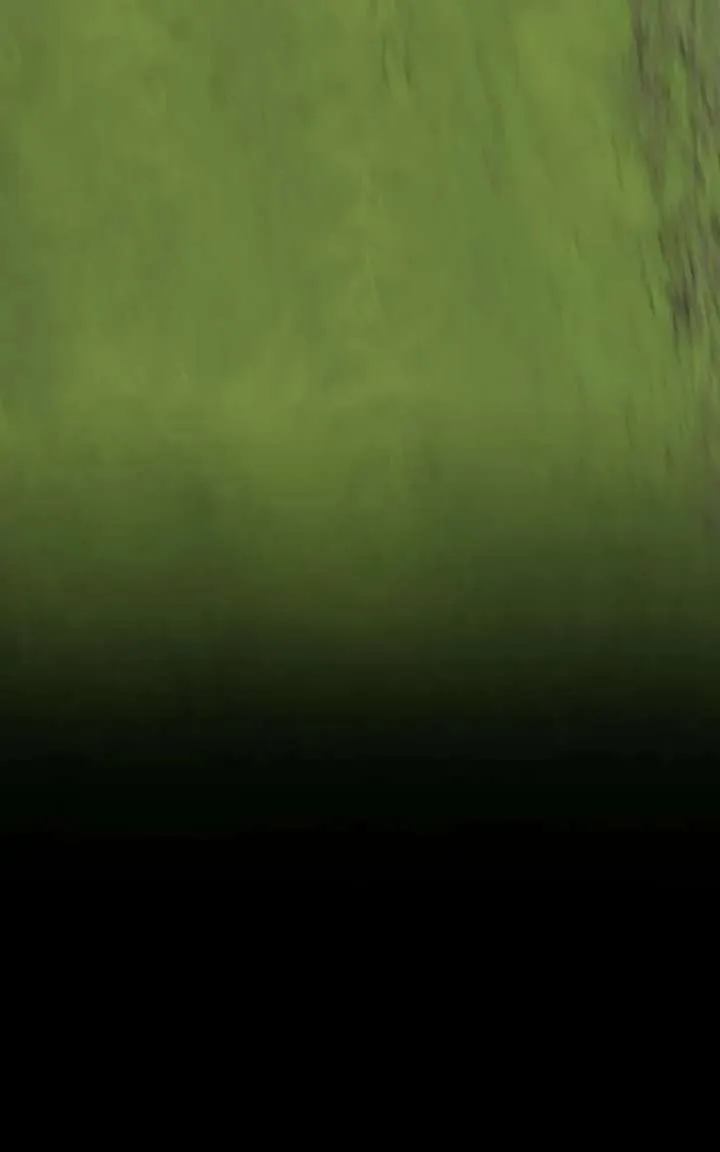 Primal Hunter Chapter 97 Online - página 86