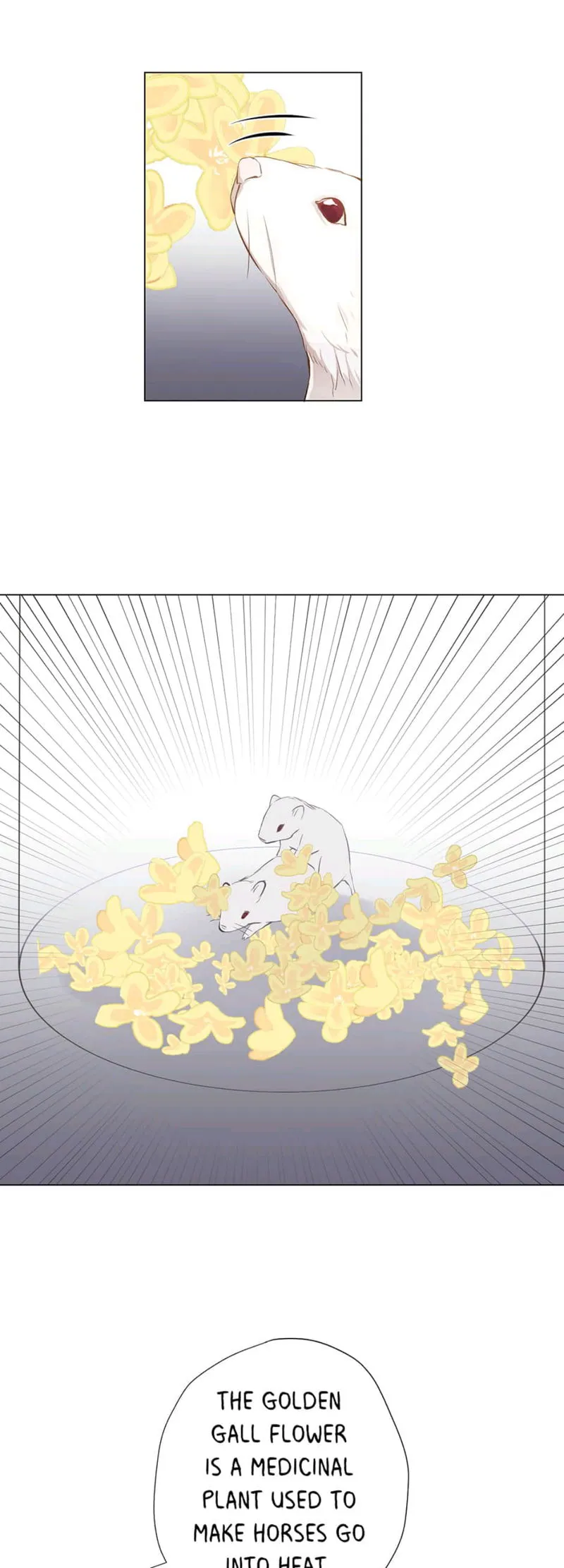 Princess Wars Chapter 40 Online - página 10