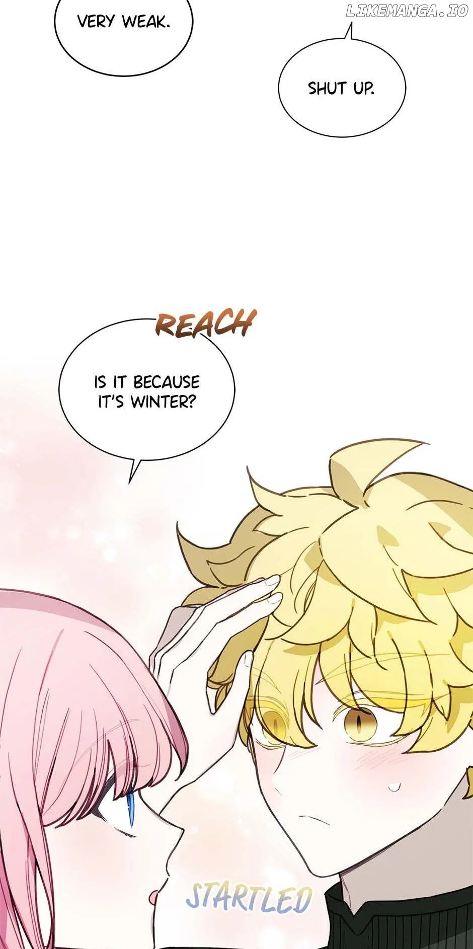 Princess’s Doll Shop Chapter 73 Online - página 3