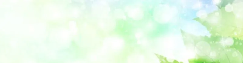 Pupillary Master Chapter 105.5 Online - página 18