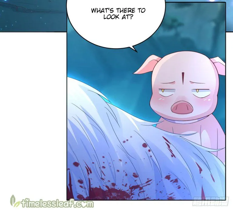 Pupillary Master Chapter 14 Online - página 13
