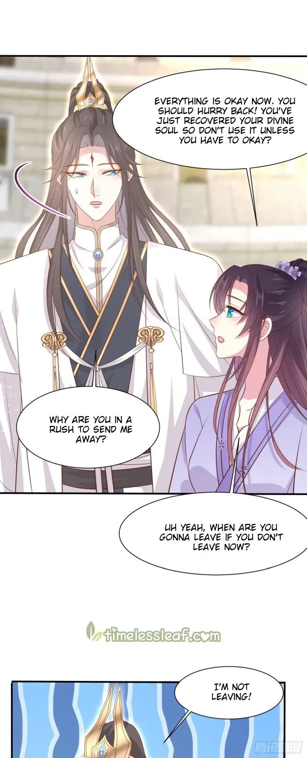 Pupillary Master Chapter 215.5 Online - página 13