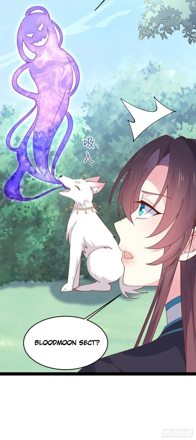 Pupillary Master Chapter 236 Online - página 16
