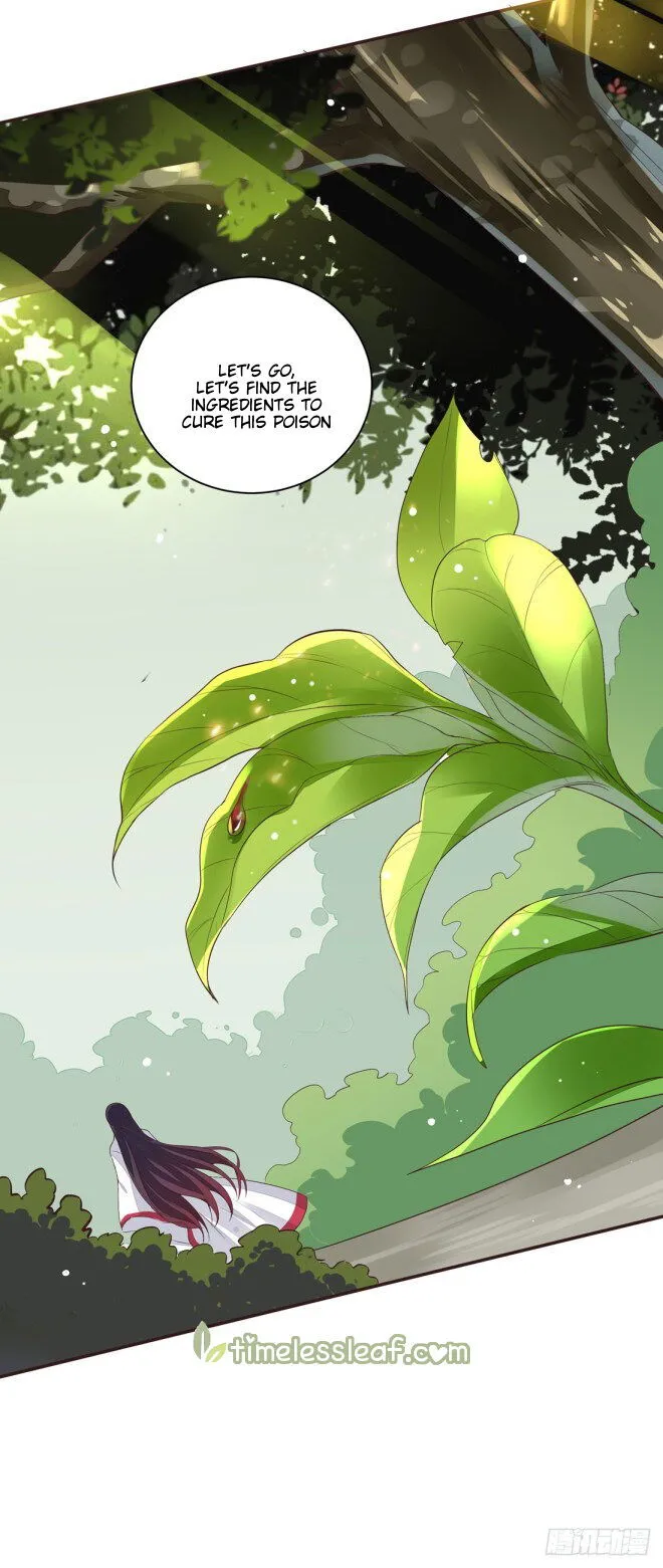 Pupillary Master Chapter 7.2 Online - página 12