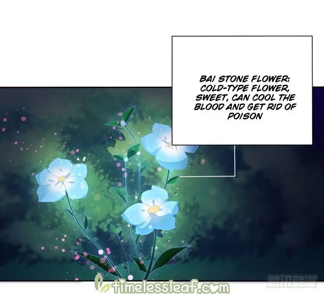 Pupillary Master Chapter 8.1 Online - página 2