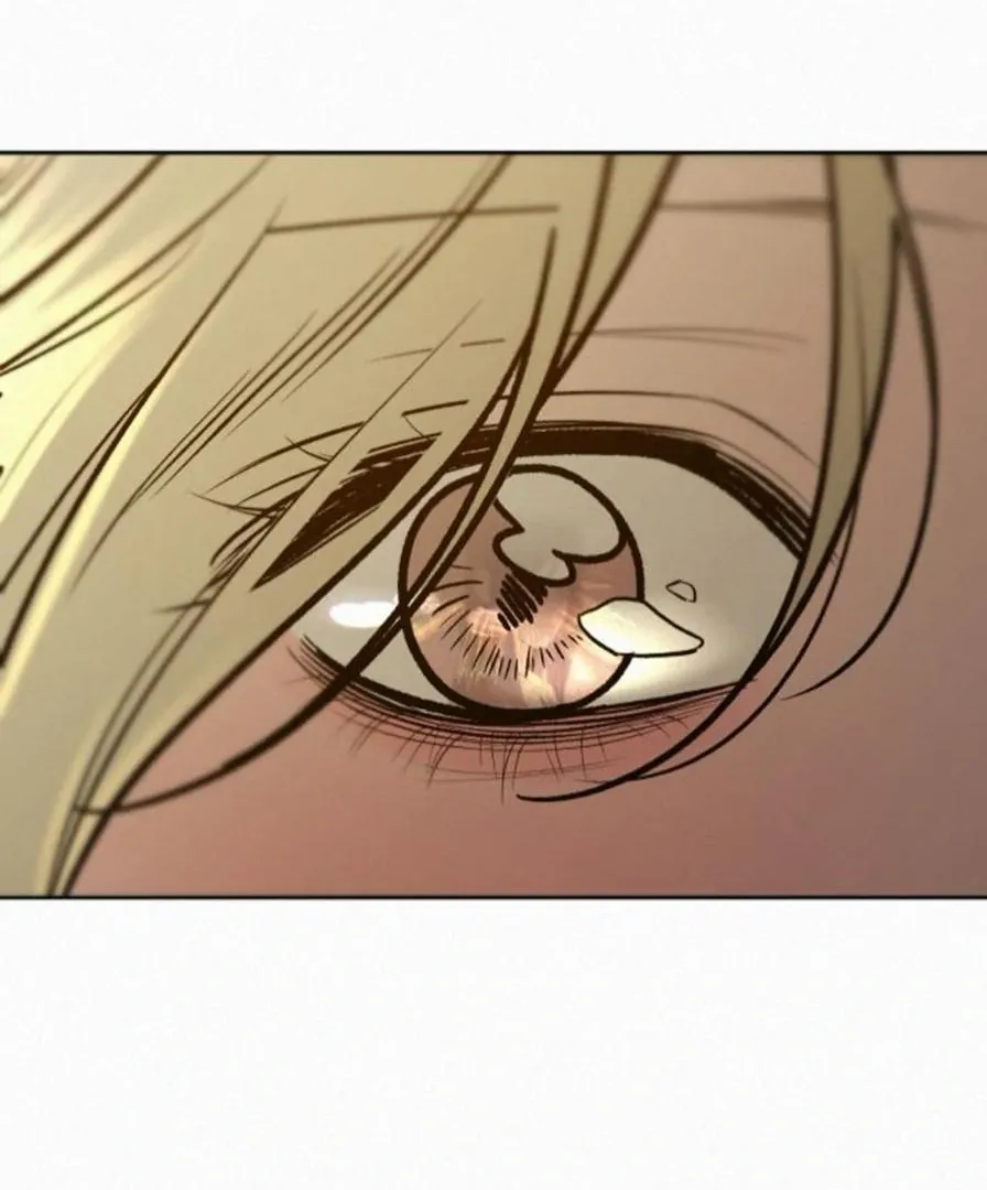 Pure Love Operation Chapter 118 Online - página 88