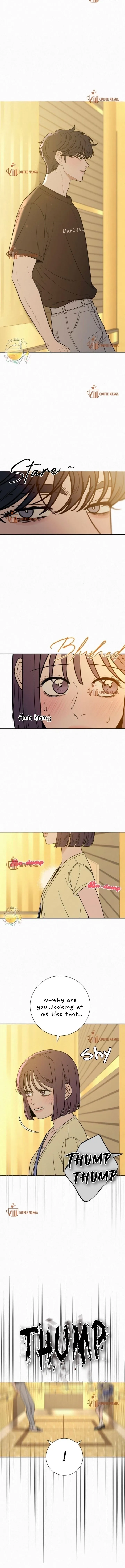 Pure Love Operation Chapter 62 Online - página 3