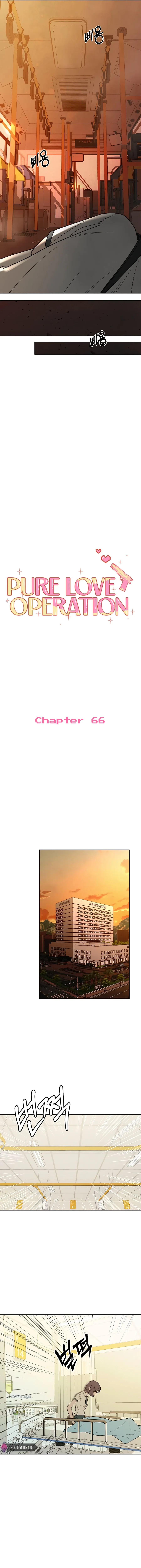 Pure Love Operation Chapter 66 Online - página 9