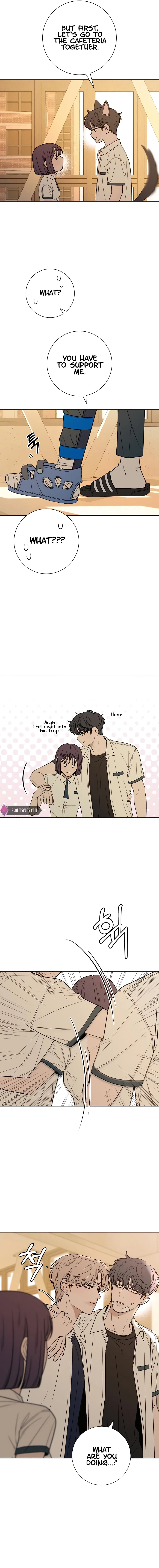 Pure Love Operation Chapter 67 Online - página 12