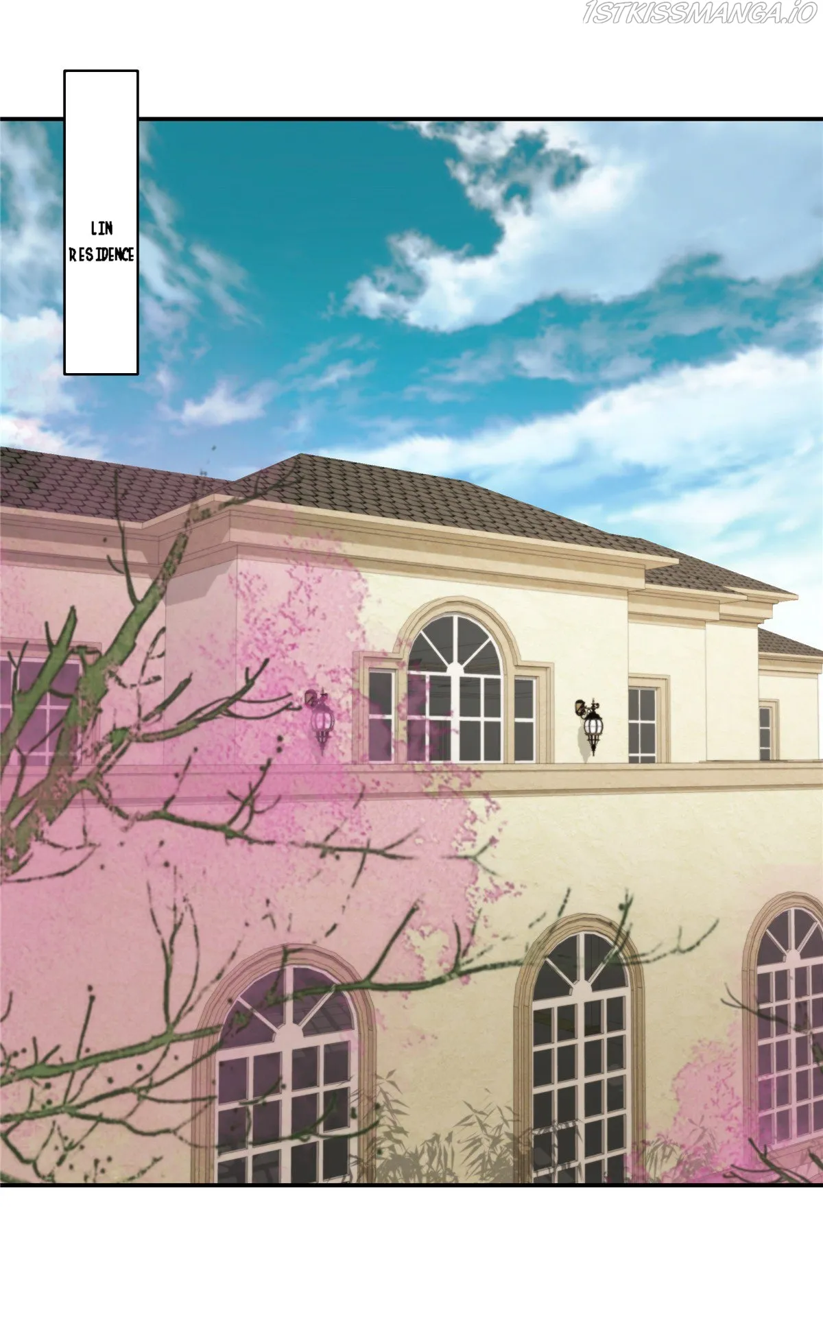 Rebirth Meeting: For You and My Exclusive Lovers Chapter 247 Online - página 7