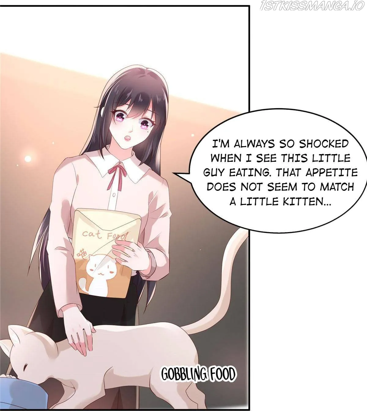 Rebirth Meeting: For You and My Exclusive Lovers Chapter 78 Online - página 15
