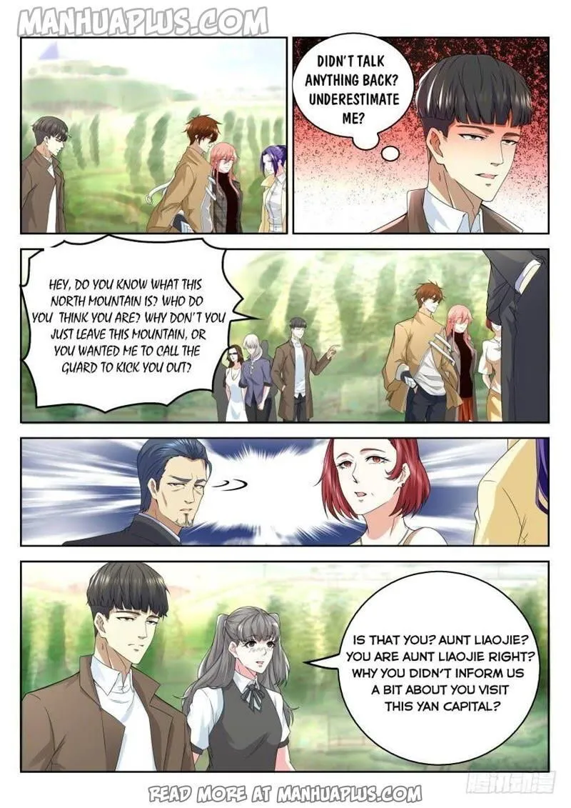 Rebirth Of The Urban Immortal Cultivator Chapter 319 Online - página 11