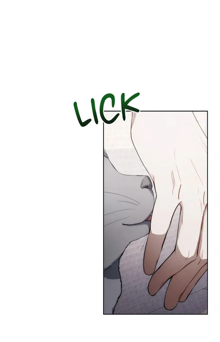 Red Mansion Chapter 12 Online - página 14