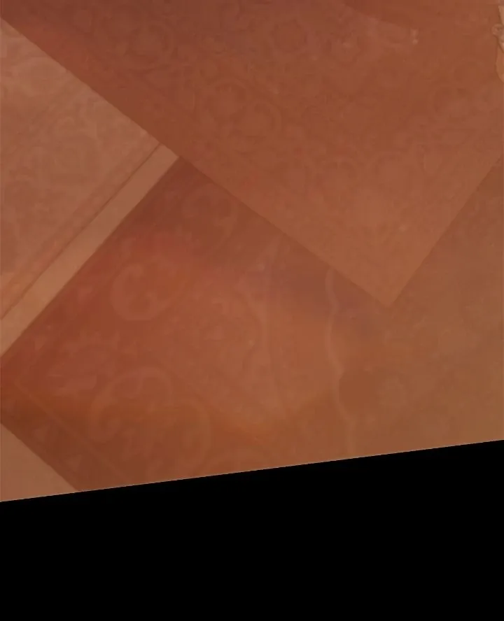 Regas Chapter 44 Online - página 54