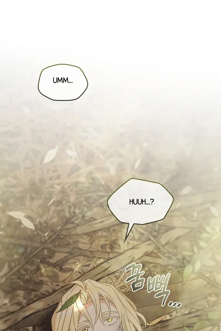Regas Chapter 78 Online - página 5