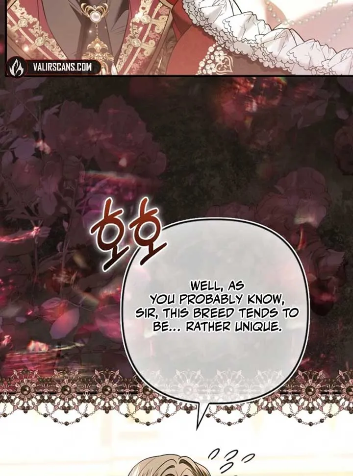 Rejecting The Perfect Marriage Chapter 36 Online - página 29