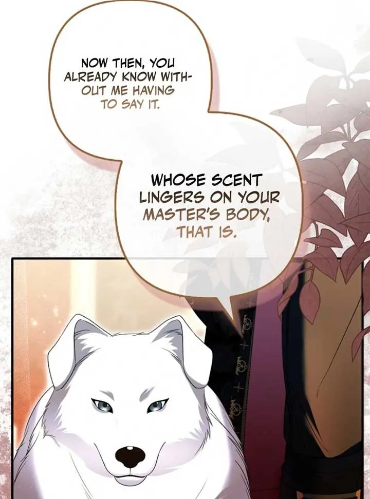 Rejecting The Perfect Marriage Chapter 36 Online - página 68