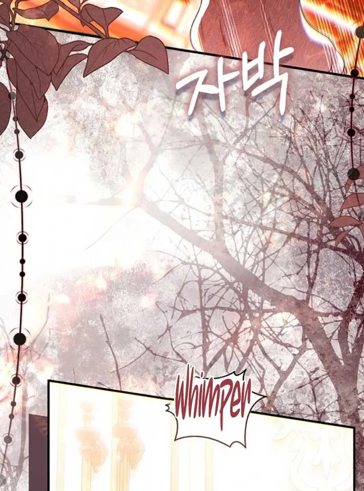 Rejecting The Perfect Marriage Chapter 36 Online - página 71