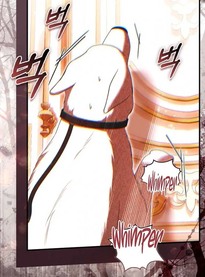 Rejecting The Perfect Marriage Chapter 36 Online - página 72