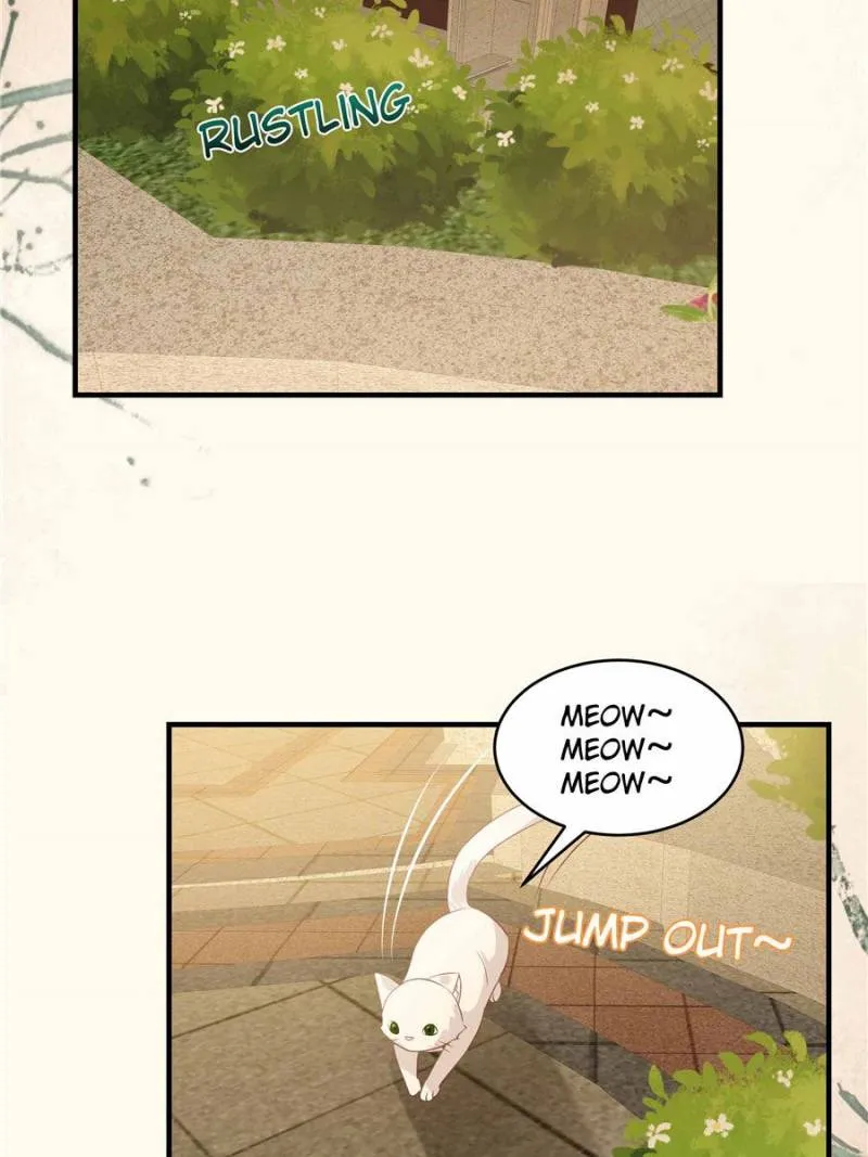 Resurrection Reunion: The Exclusive Love Chapter 186 Online - página 5
