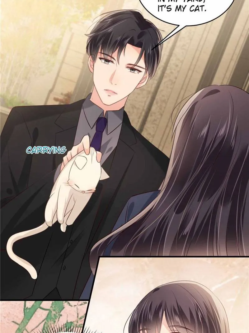 Resurrection Reunion: The Exclusive Love Chapter 186 Online - página 14