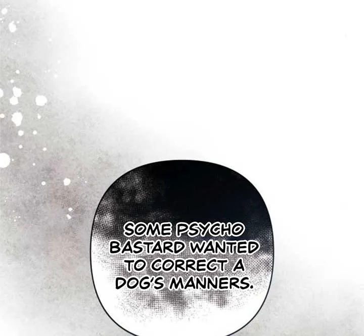 Revelation Of Youth Chapter 83 Online - página 161