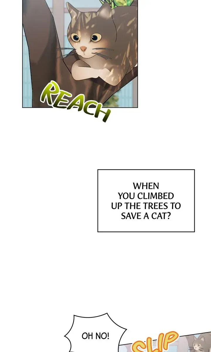 Romantic Pitch Chapter 41 Online - pƔgina 31