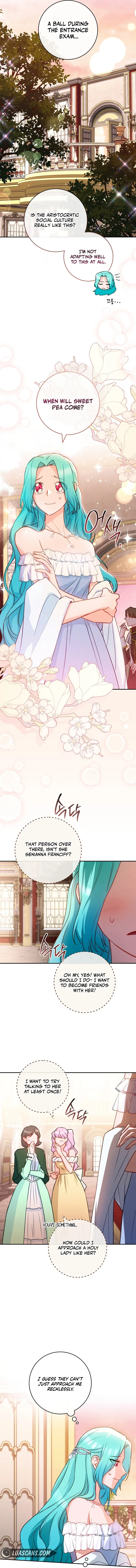 Royal Shop of Young Lady Chapter 143 Online - página 12