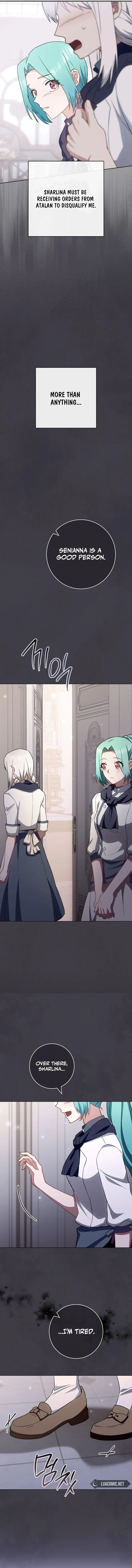 Royal Shop of Young Lady Chapter 148 Online - página 8
