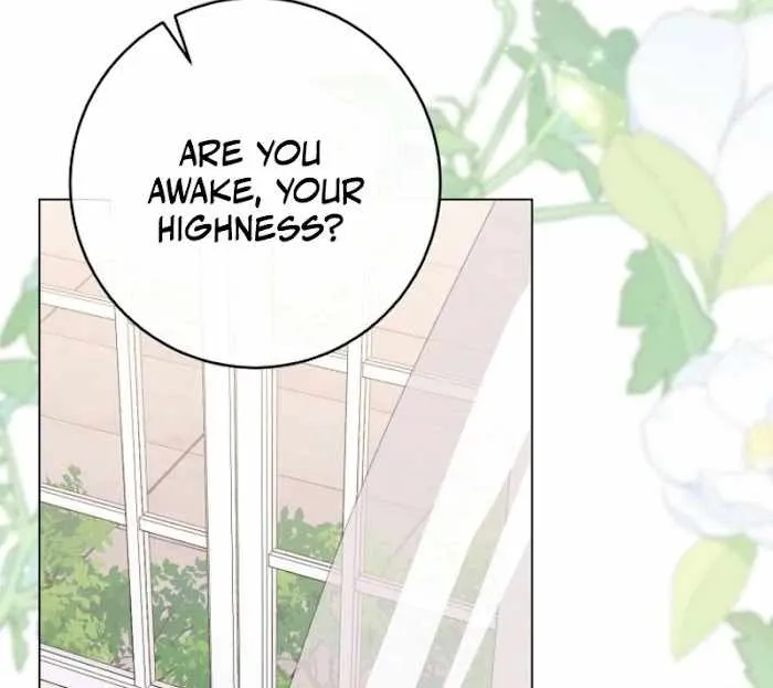 Royal Shop of Young Lady Chapter 188 Online - página 12
